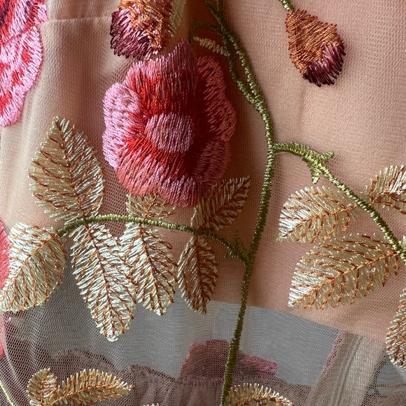 VONE Size 2 Sheer Lelan Top - True to Size (XS/SM) - Picture 9 of 10